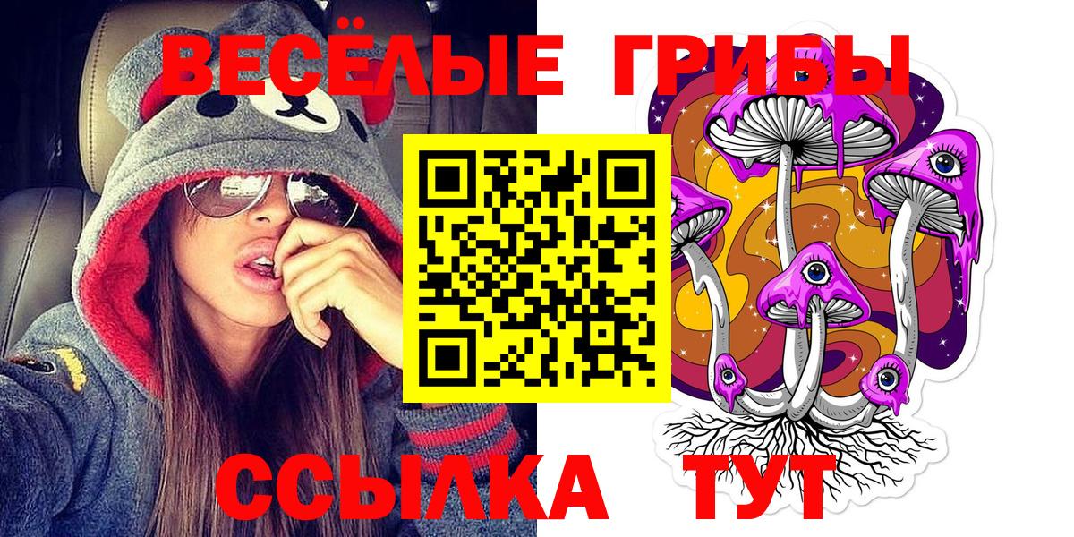 Галлюциногенные грибы мицелий  Псилоцибиновые грибы мицелий  Вход с VPN  Москва 